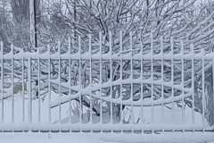 IMG-20200223-WA0002